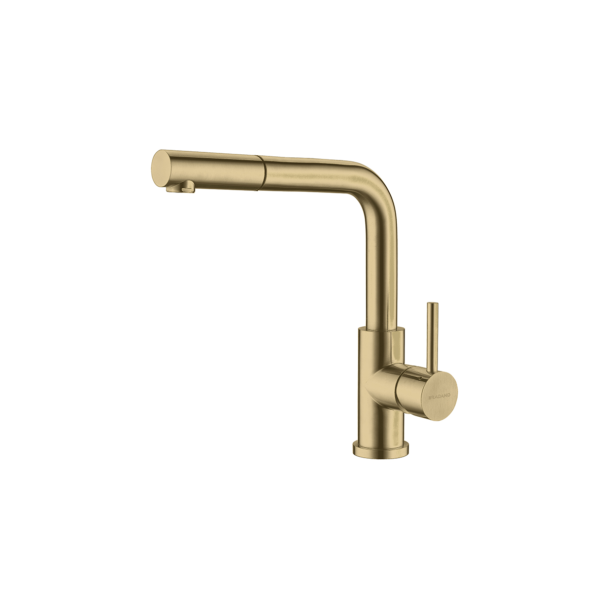 Echantillon d'image de l'accessoire : Avisio douchette 90 Laiton