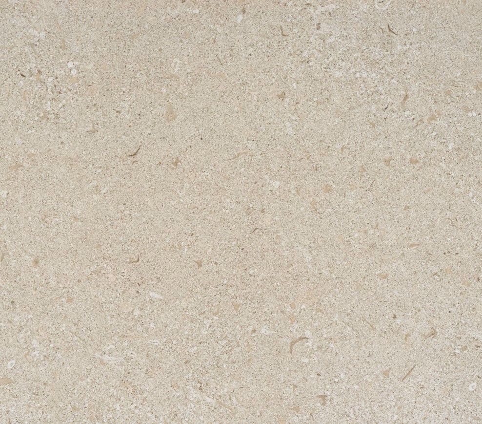 Echantillon d'image du coloris : Avorio