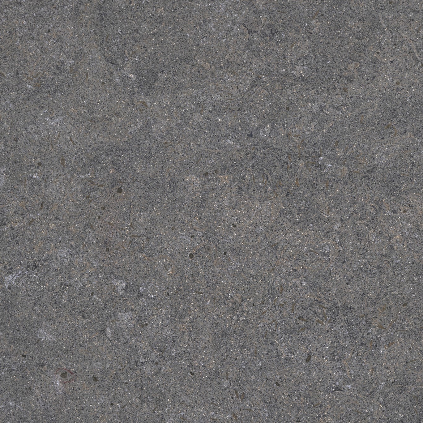 Echantillon d'image du coloris : Grafite