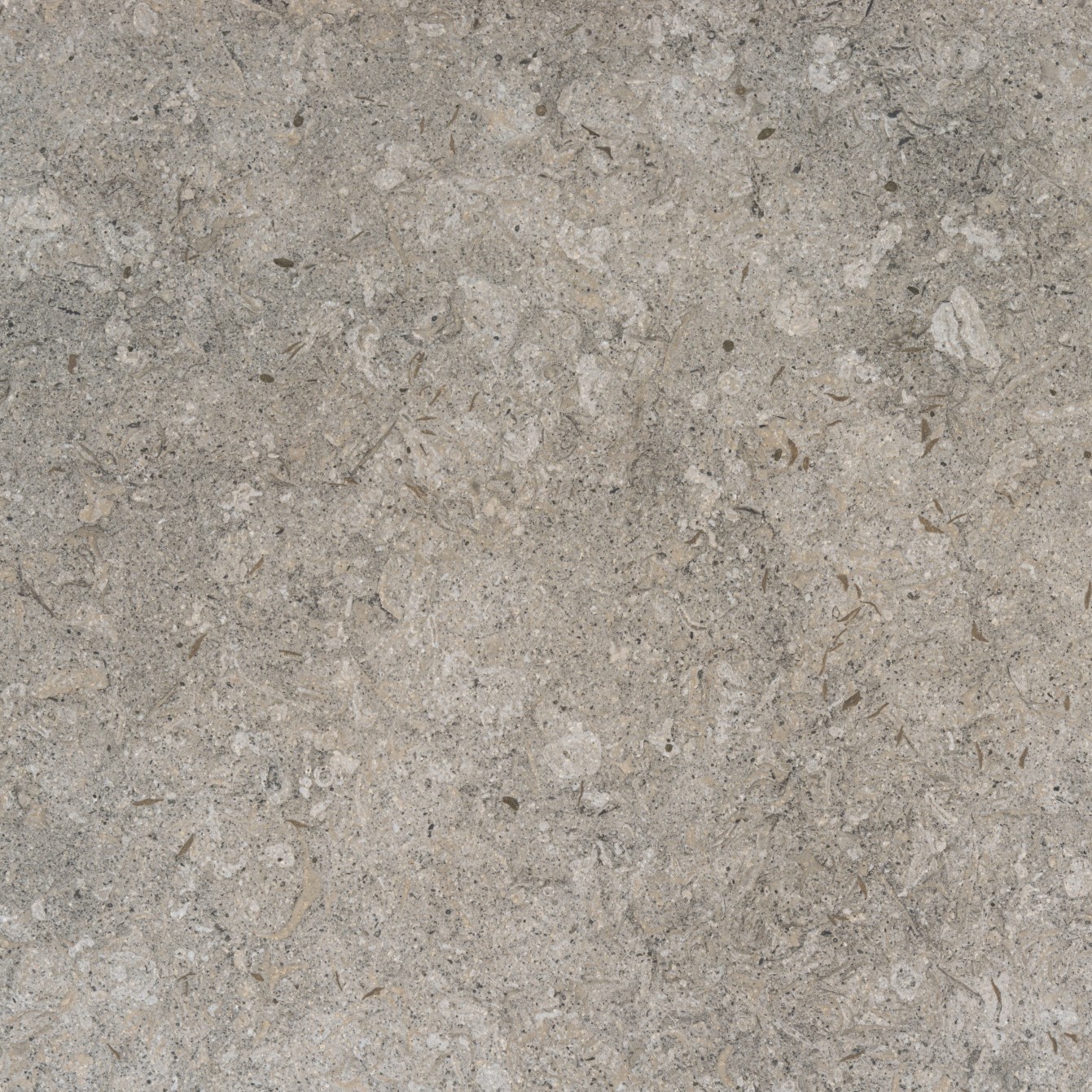 Echantillon d'image du coloris : Grigio