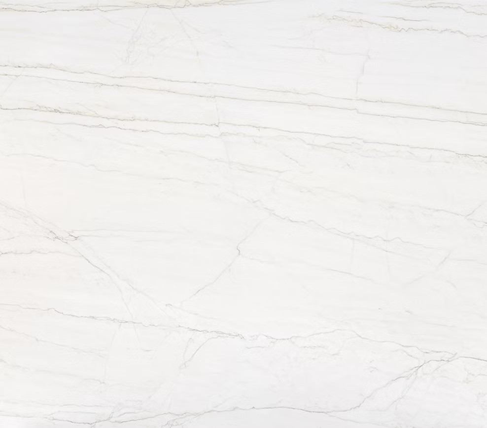 Echantillon d'image du coloris : Neural