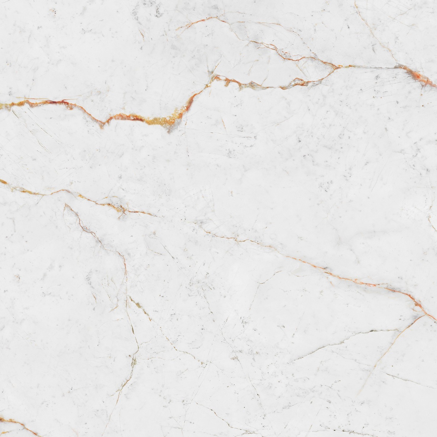 Echantillon d'image du coloris : Abu Dhabi White