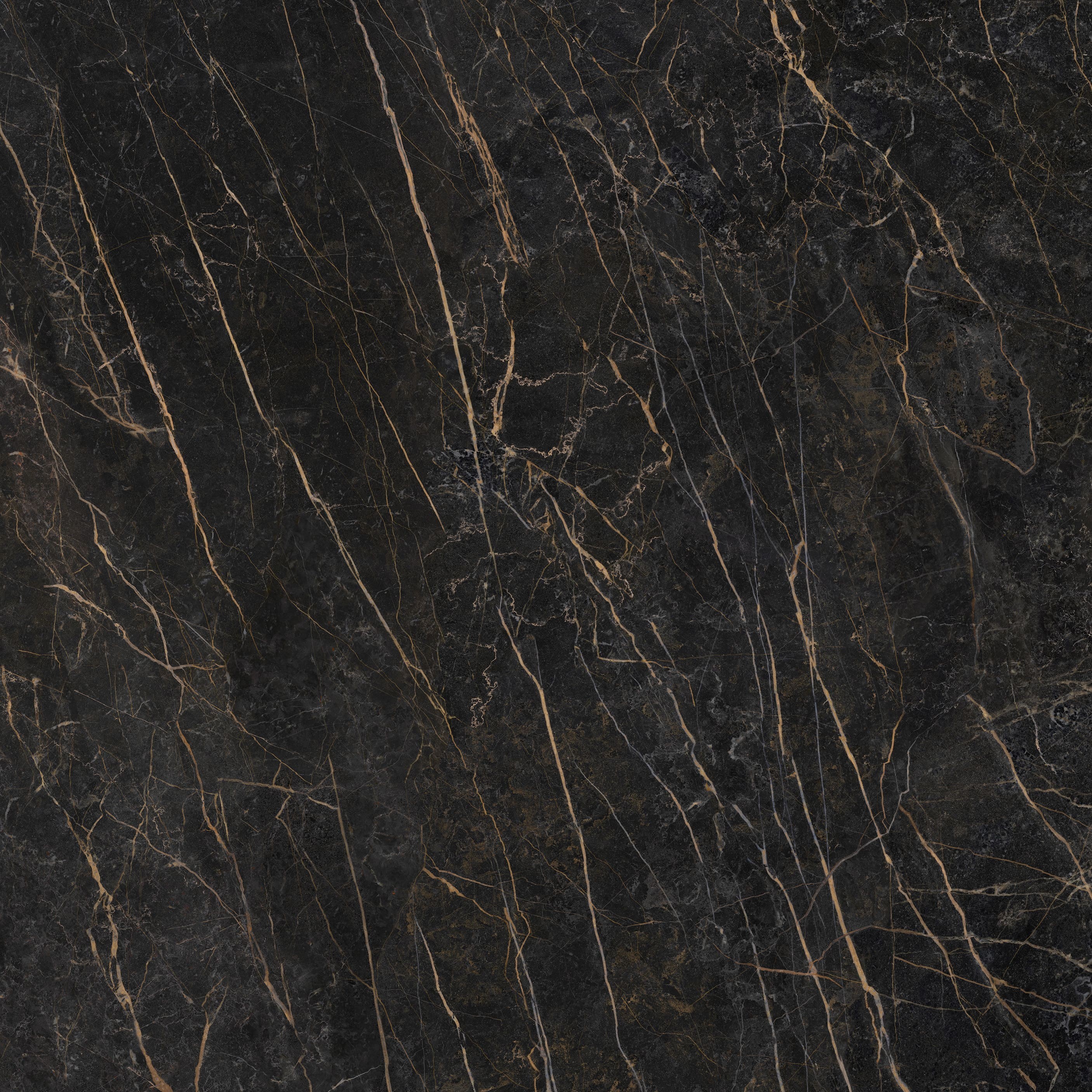 Echantillon d'image du coloris : Black Obsession