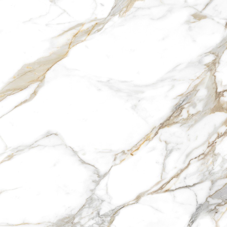 Echantillon d'image du coloris : Calacatta Roma