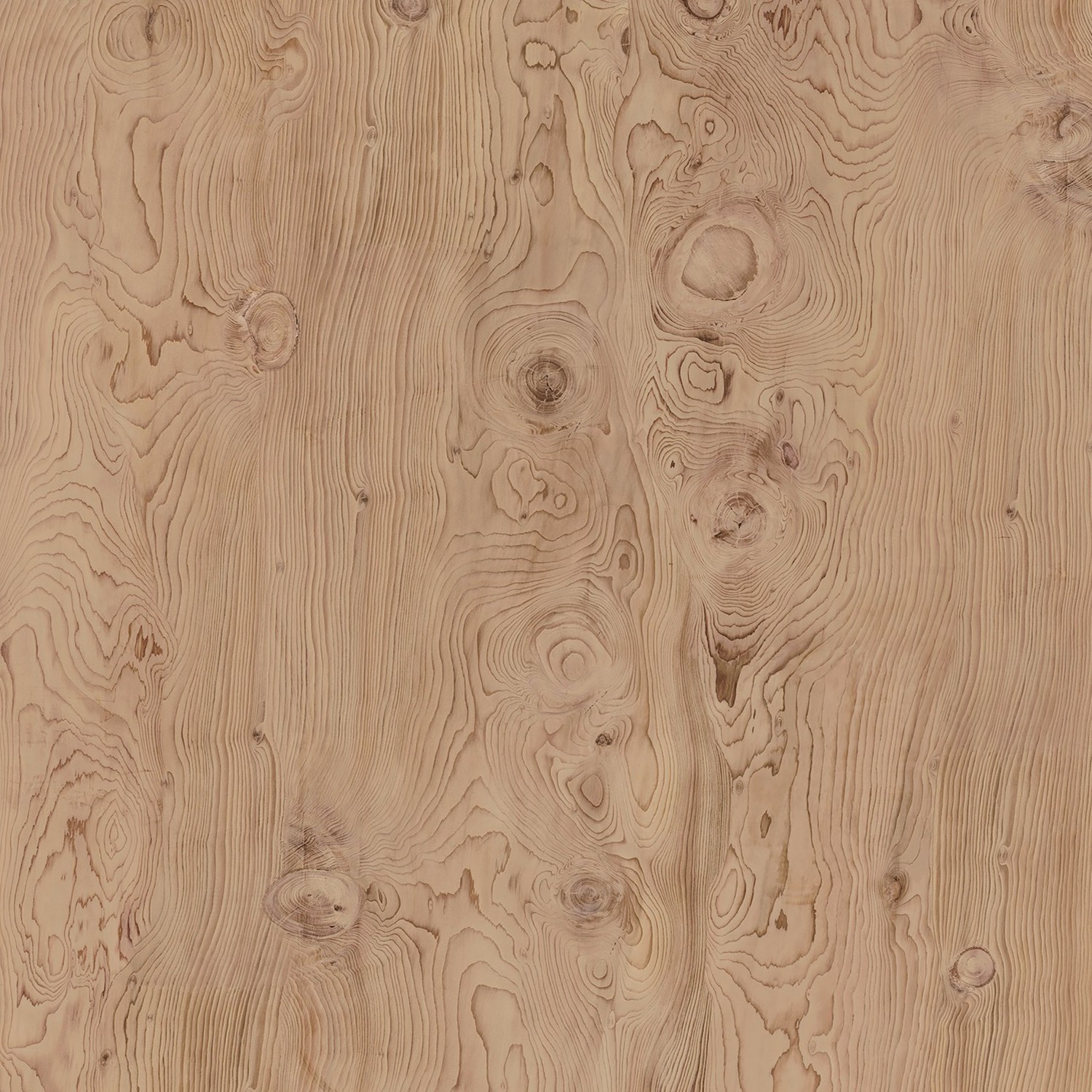 Echantillon d'image du coloris : La Boheme B01