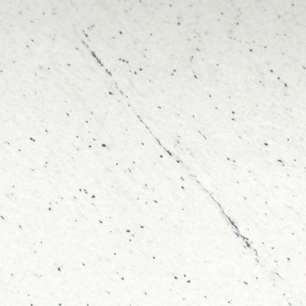 Echantillon d'image du coloris : Siberia