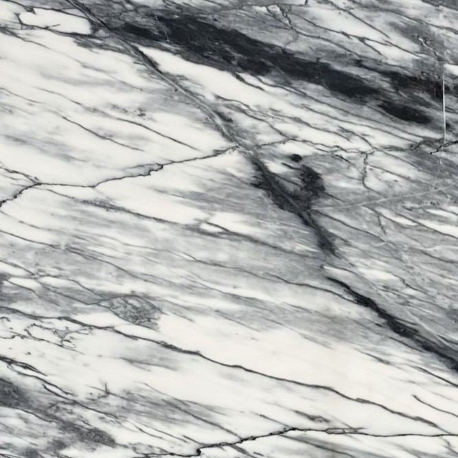 Echantillon d'image du coloris : Calacatta Black