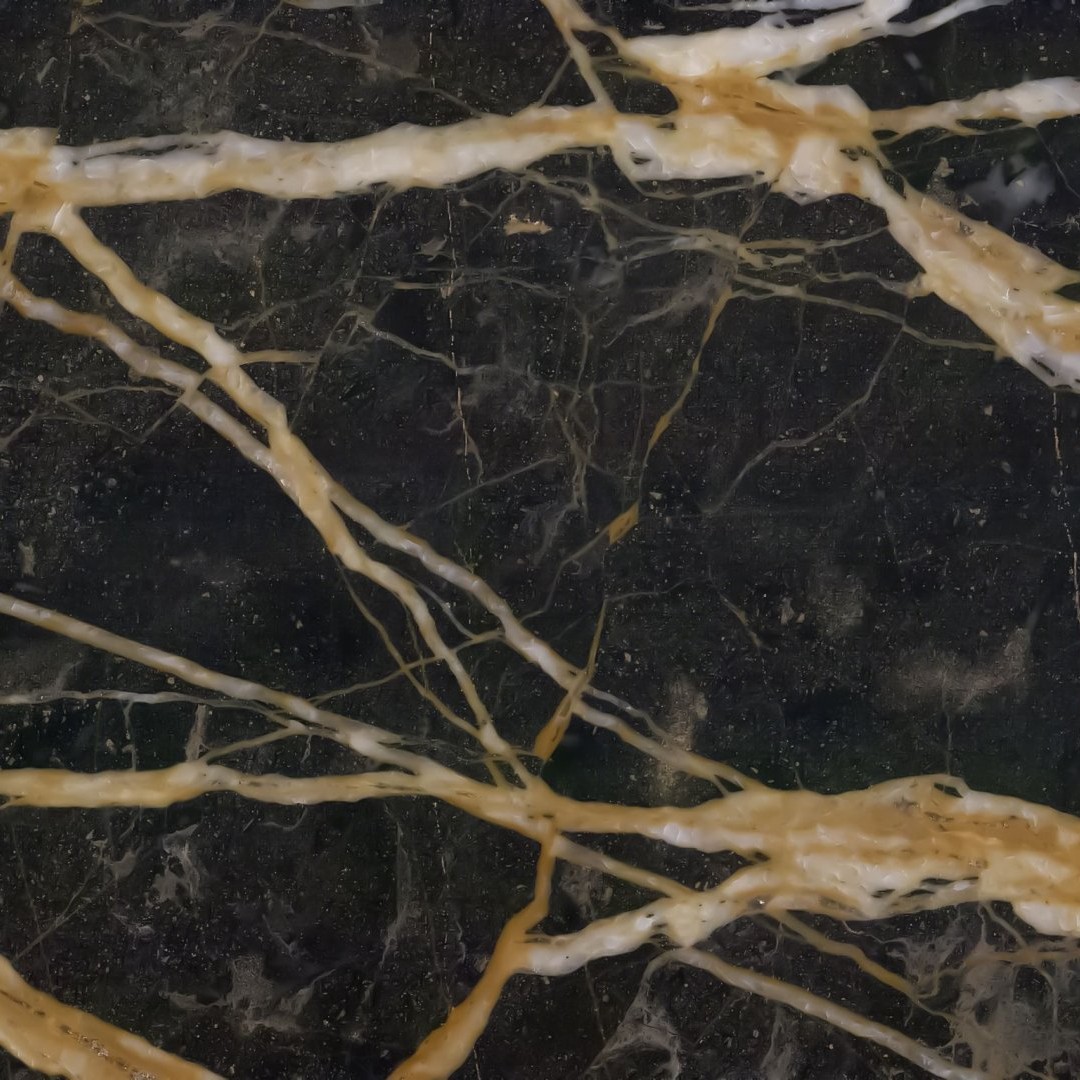 Echantillon d'image du coloris : Noir Saint Laurent