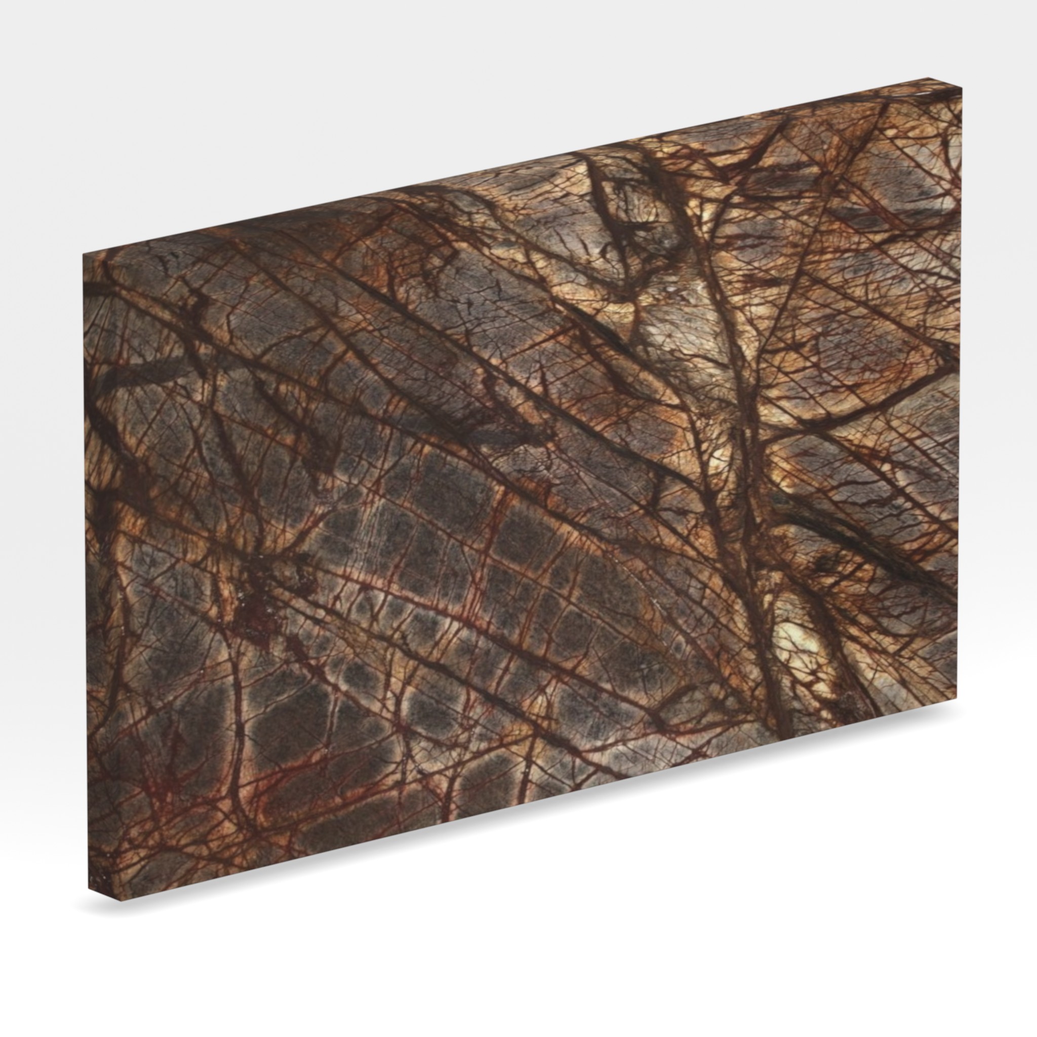 Rendu 3D de la tranche du coloris Rain Forest Brown
