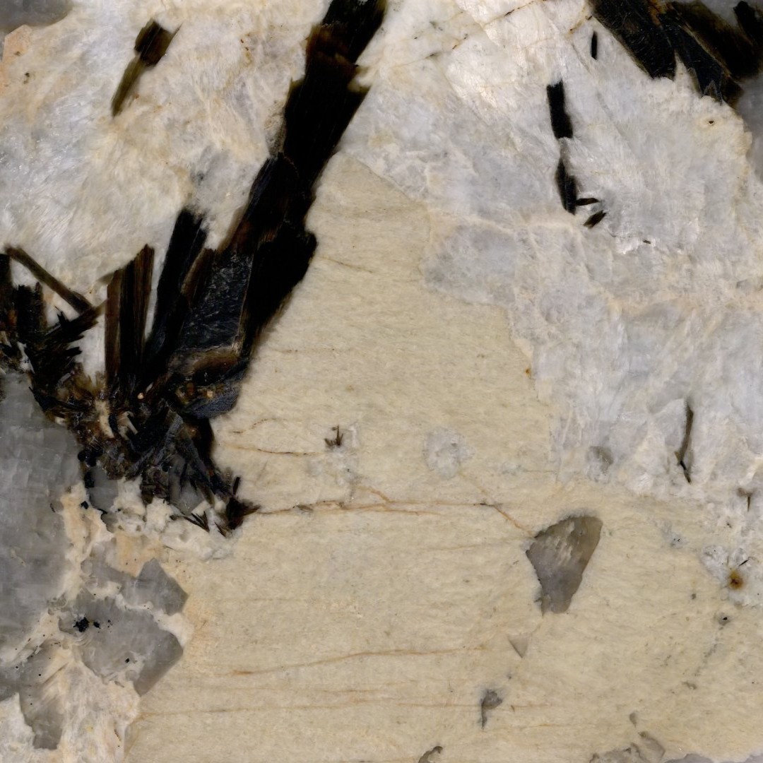 Echantillon d'image du coloris : Patagonia