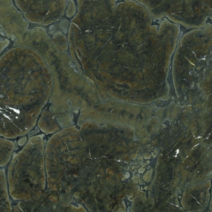 Echantillon d'image du coloris : Vitoria Regia