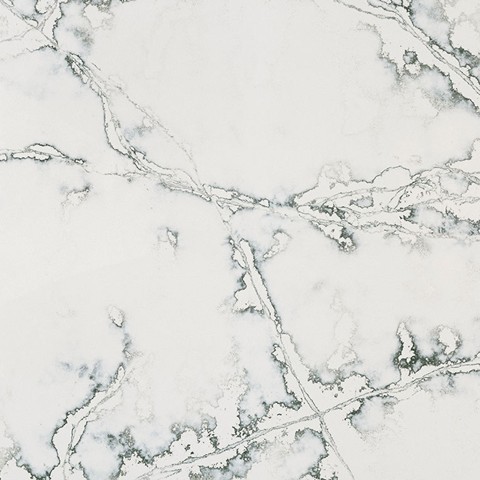 Echantillon d'image du coloris : Ice Green