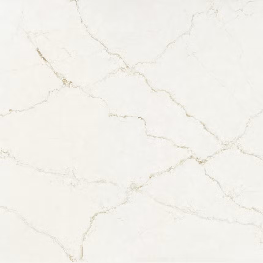 Echantillon d'image du coloris : Blanc Élysée